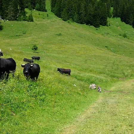 Le 8 Chalet Appartamento